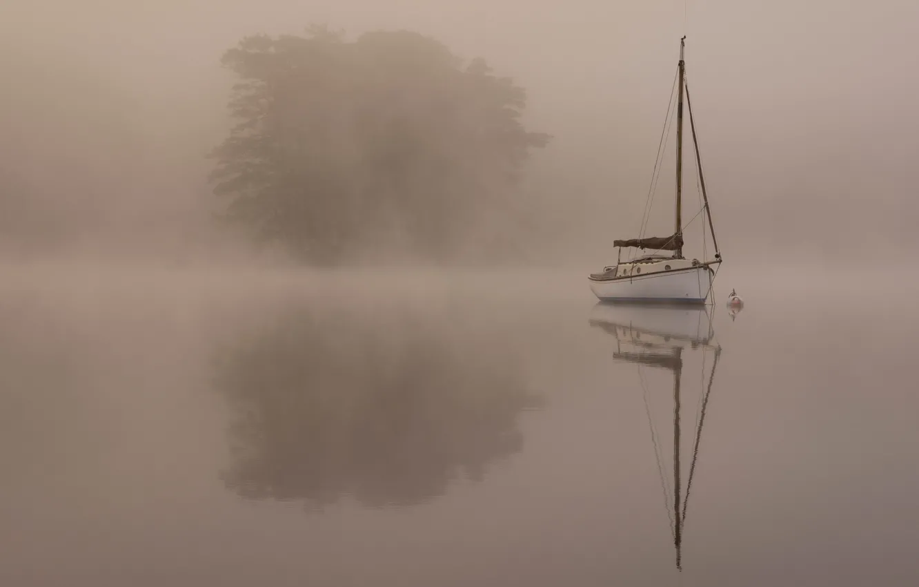 Photo wallpaper trees, landscape, fog, boat, pond, Wallpaper from lolita777, simply
