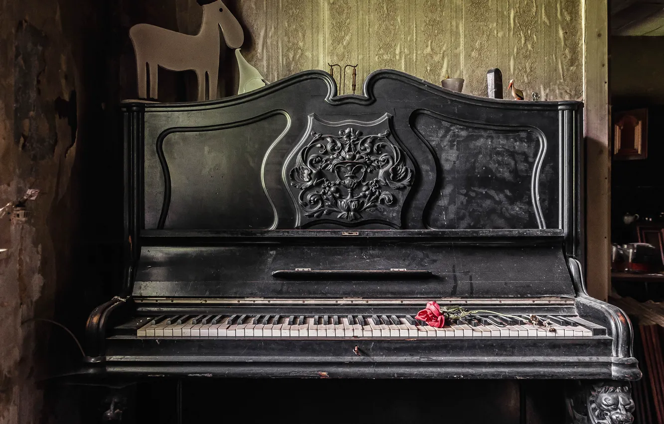Photo wallpaper music, roses, piano