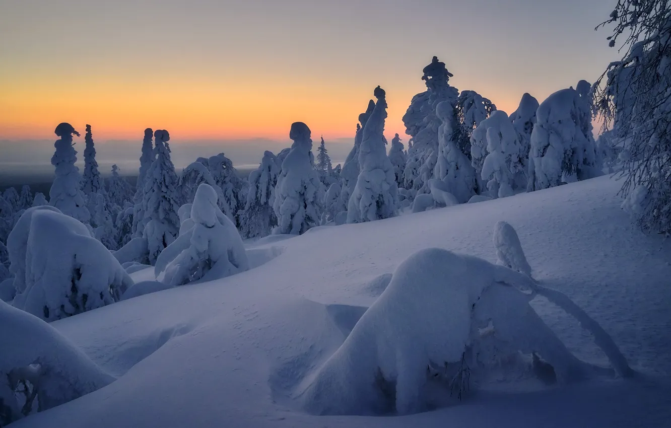Photo wallpaper winter, snow, landscape, nature, morning, ate, Sergey Mezhin