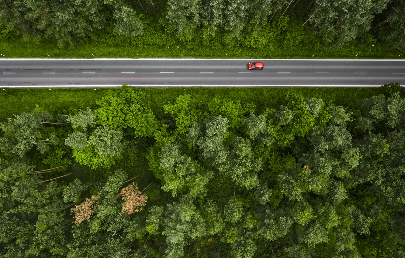 Photo wallpaper forest, road, trees, vehicle, Route