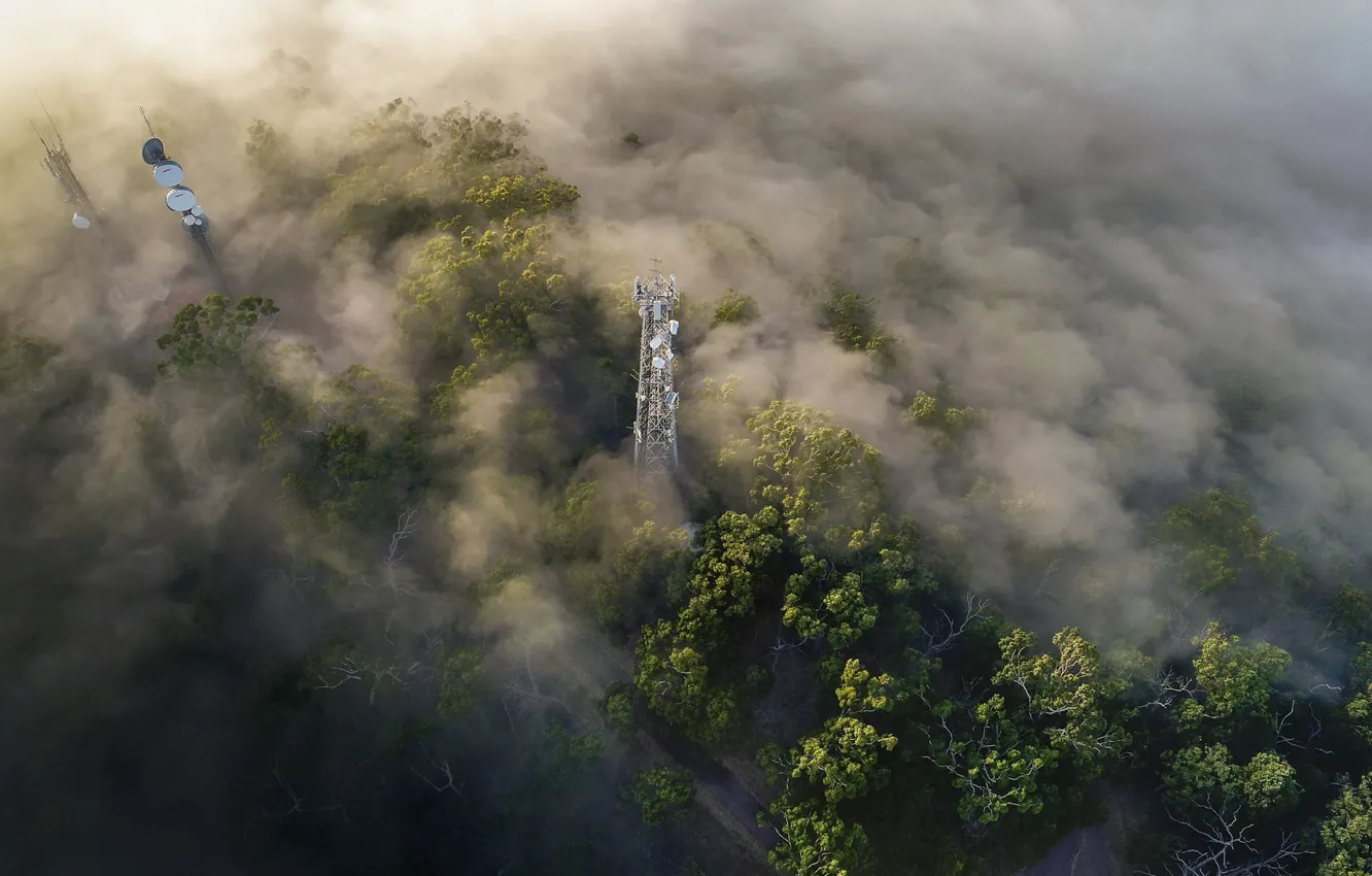 Photo wallpaper forest, fog, antenna
