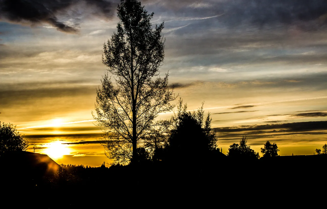 Photo wallpaper the sky, tree, Sunset, village, silhouette