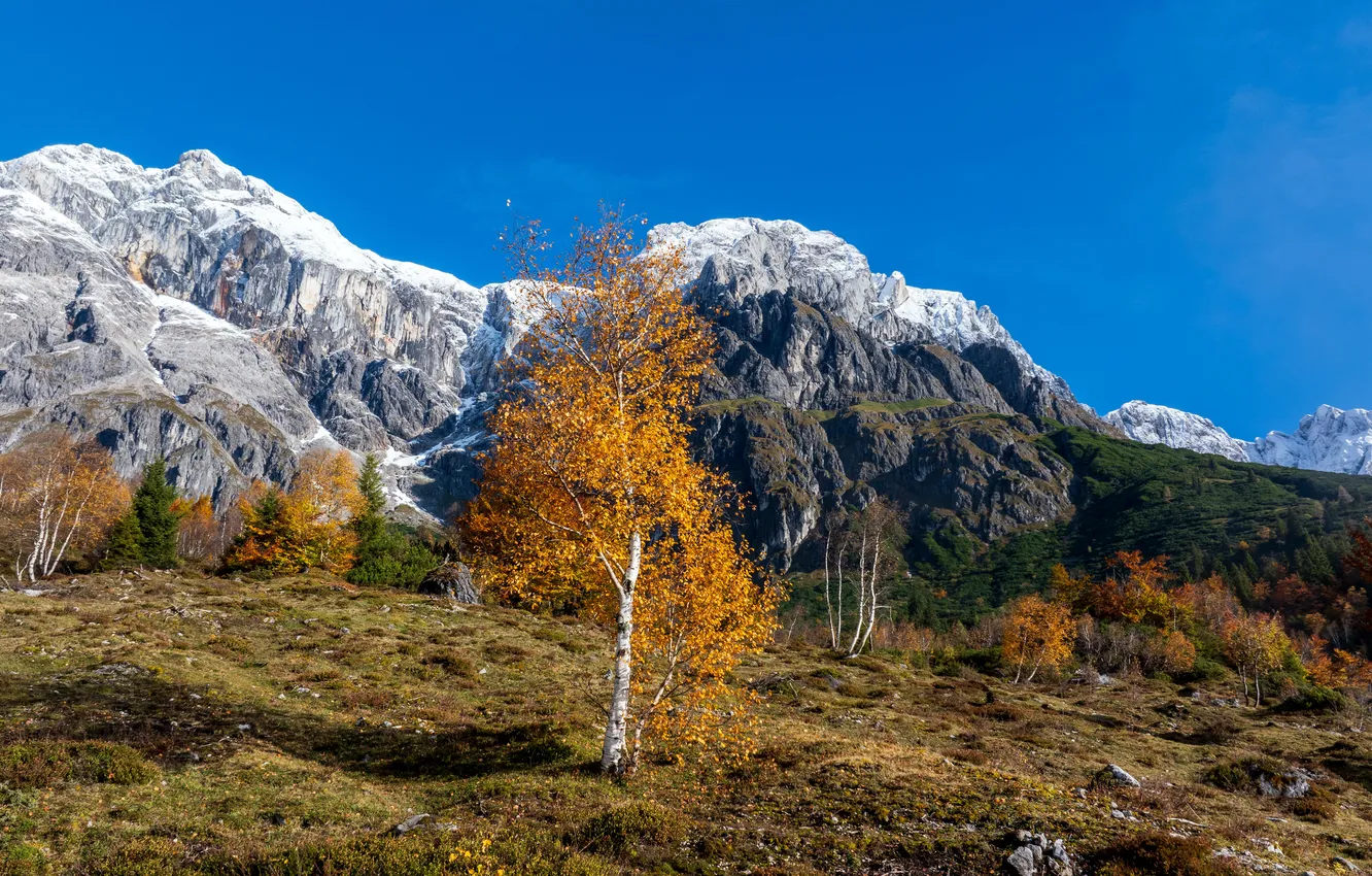 Photo wallpaper autumn, mountains, rocks, Austria, Alps