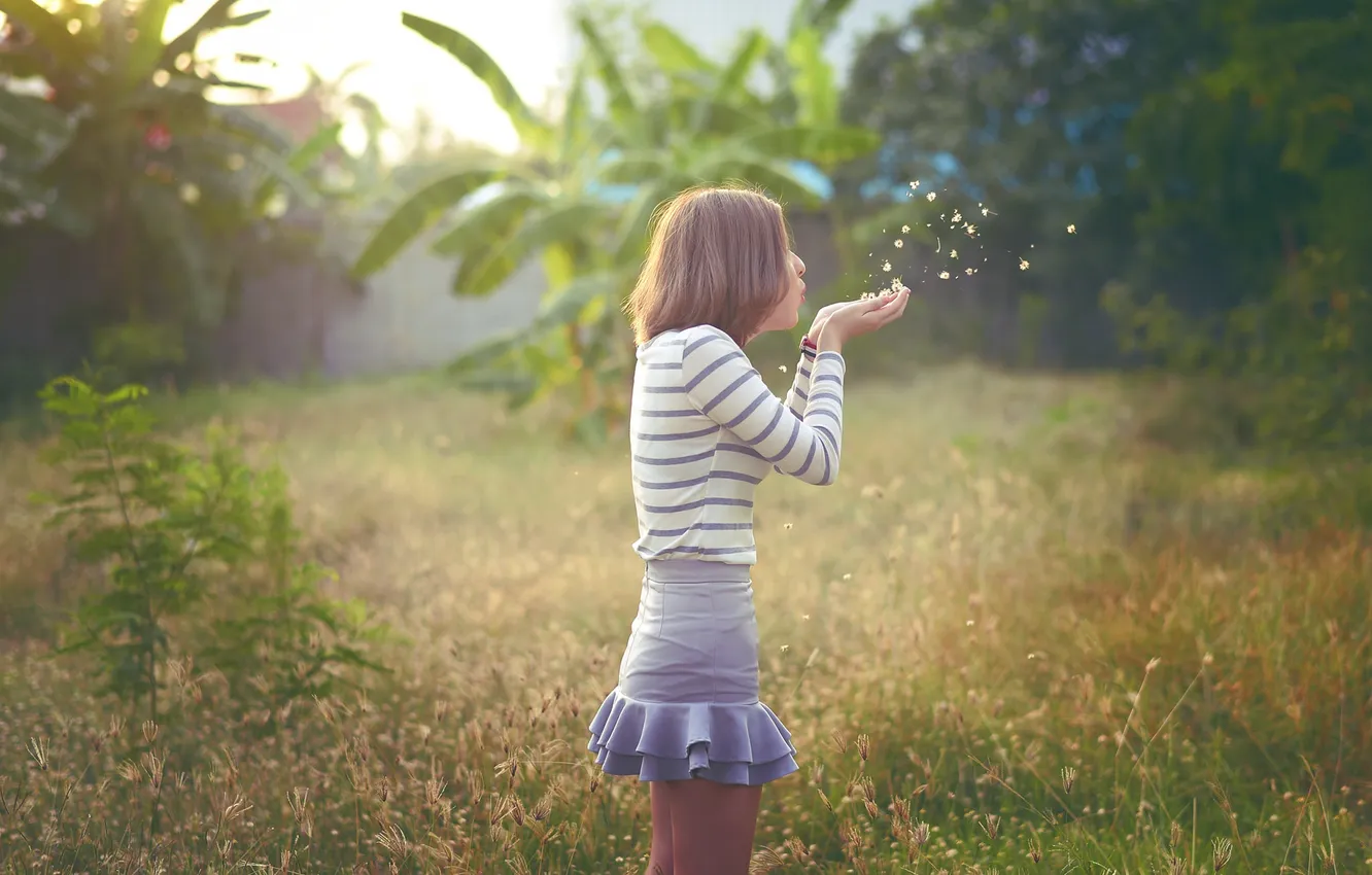 Photo wallpaper summer, grass, girl, face, hair, hands, blow