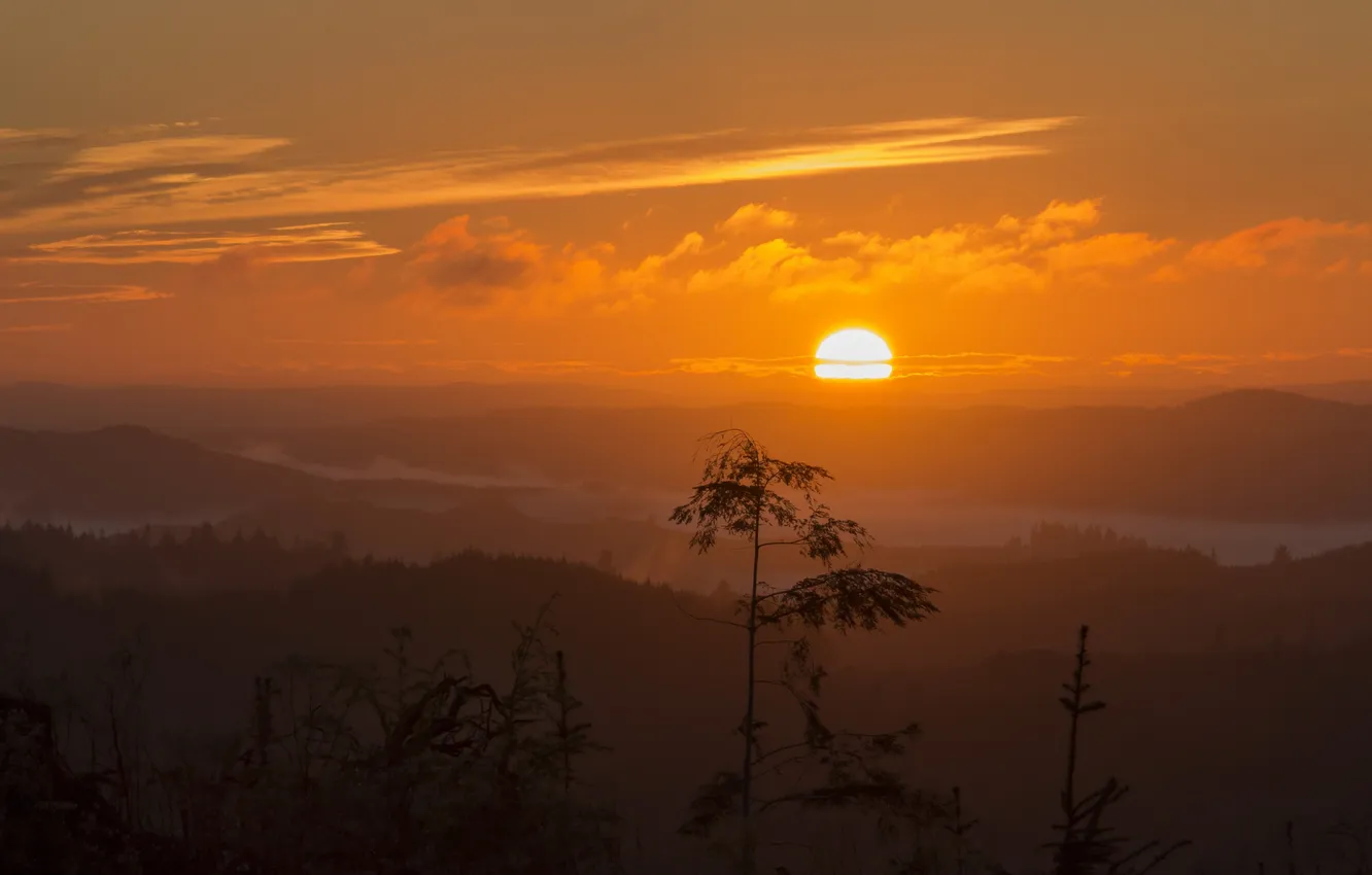 Photo wallpaper sunset, nature, fog