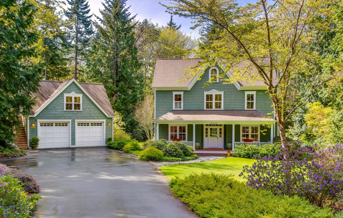 Photo wallpaper forest, trees, home, mansion, the bushes