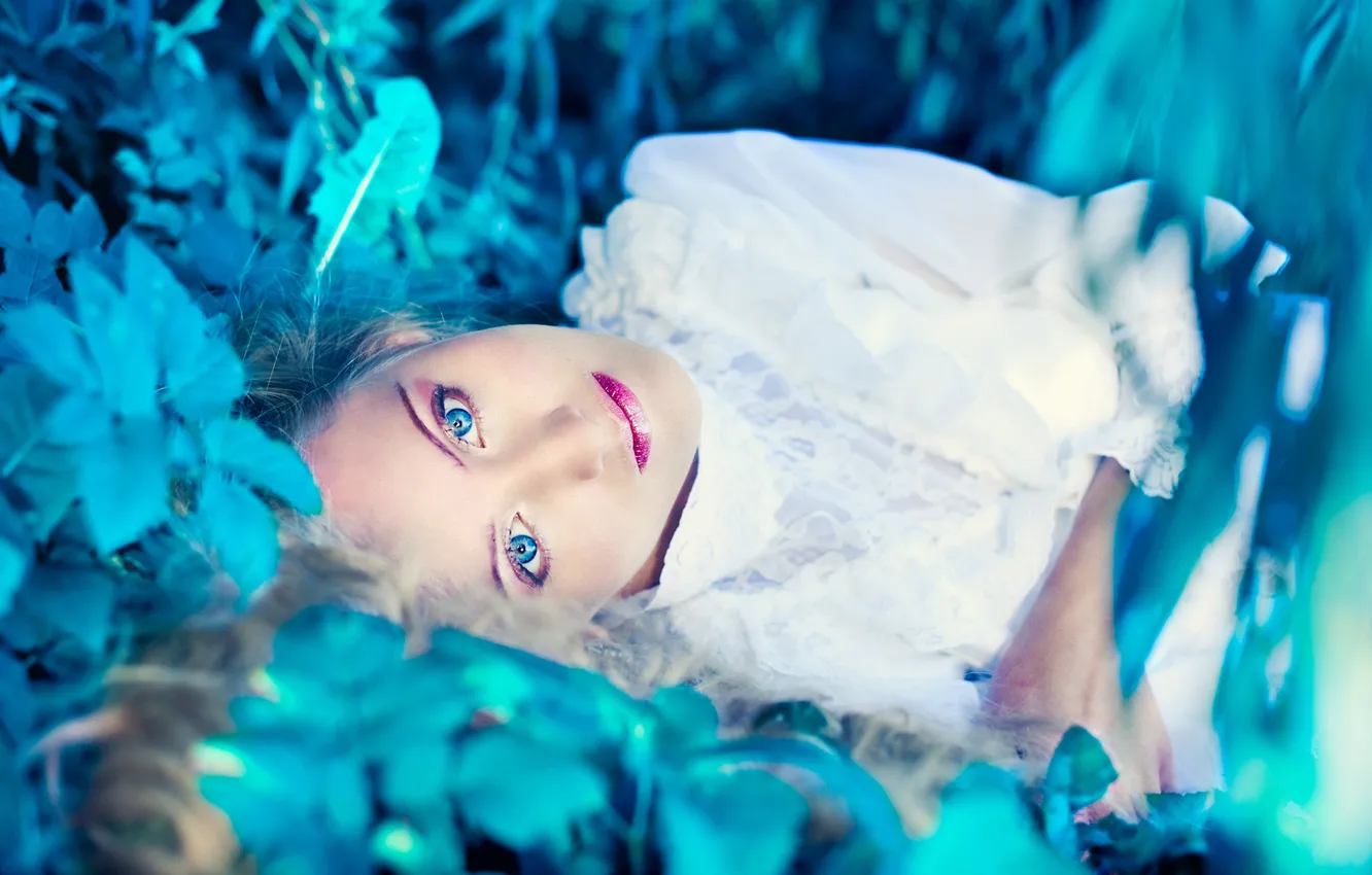 Photo wallpaper look, leaves, model, color