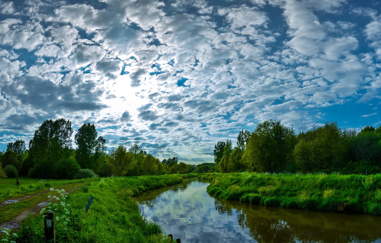 Photo wallpaper the sky, clouds, trees, nature, river