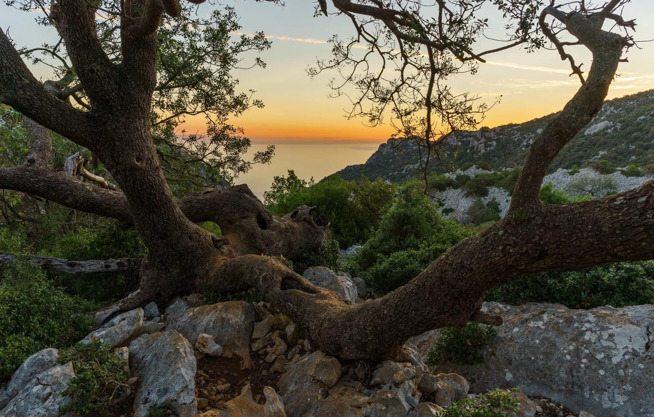 Photo wallpaper landscape, sunset, nature, beauty, the evening, panorama
