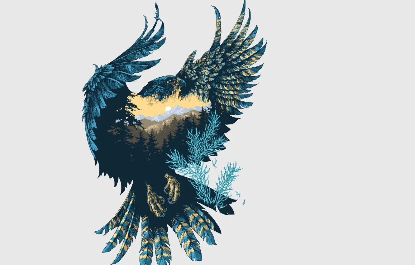Photo wallpaper nature, background, bird, wings, art, Falcon