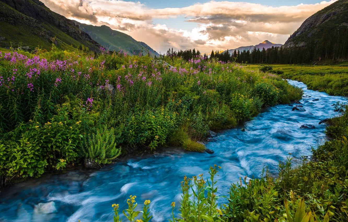 Photo wallpaper summer, landscape, sunset, flowers, mountains, river, Colorado, USA