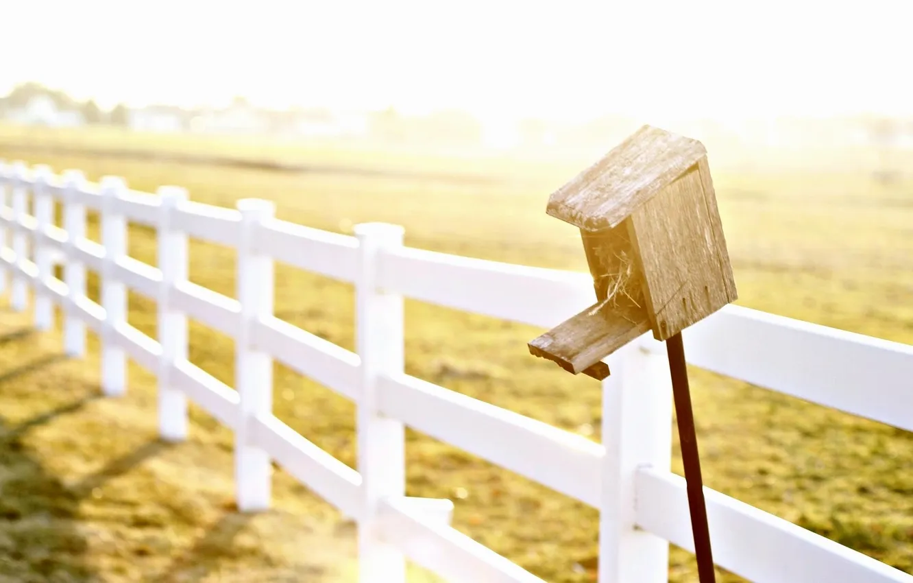 Photo wallpaper field, the sun, background, mood, Wallpaper, the fence, the fence, day