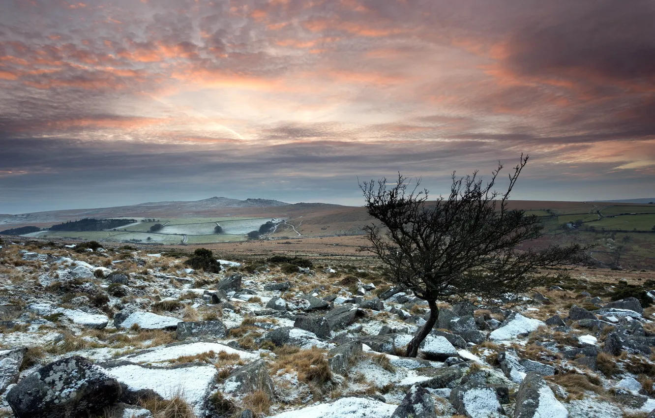 Photo wallpaper field, snow, landscape, stones, tree