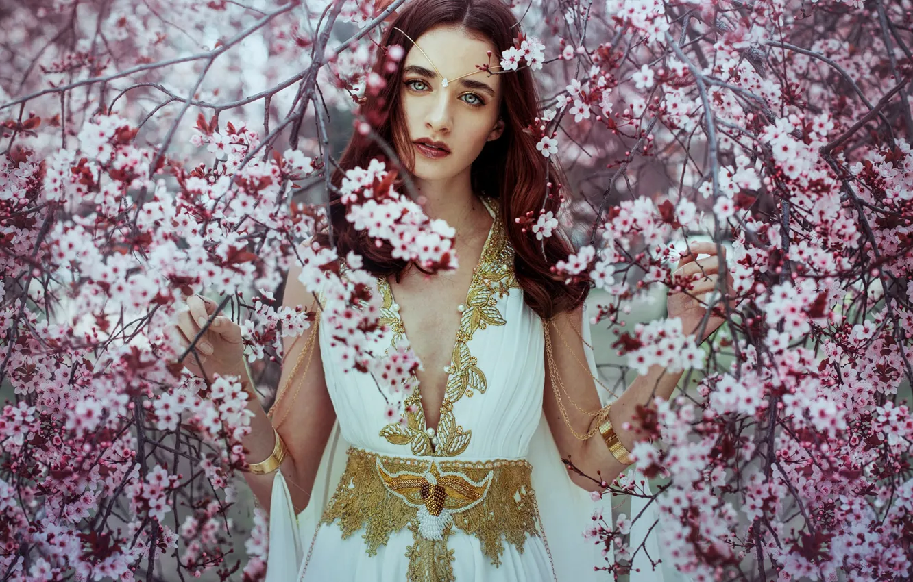 Photo wallpaper look, girl, trees, flowers, branches, mood, spring, dress