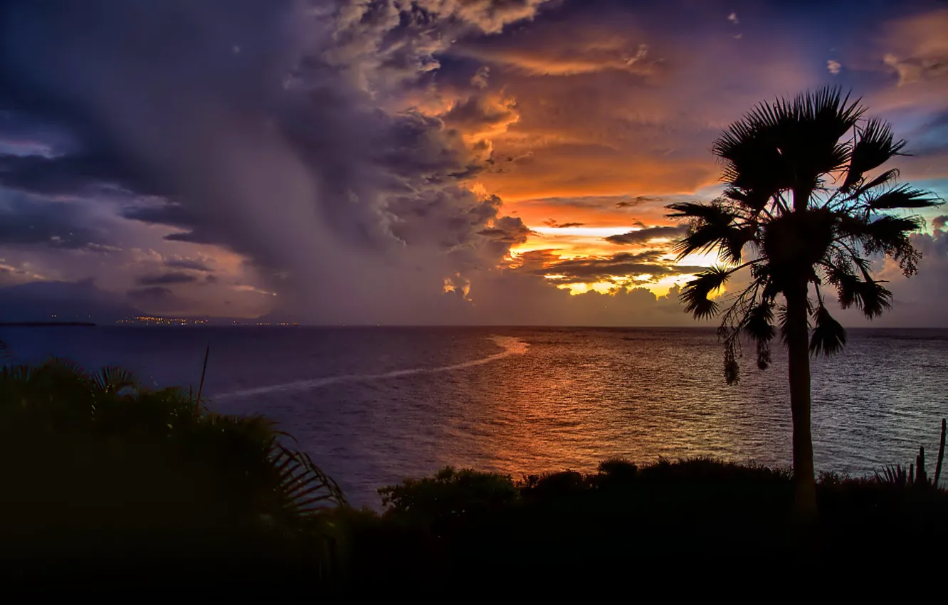 Photo wallpaper sea, the sky, clouds, sunset, Palma, silhouette, Dominican Republic, Cabarete