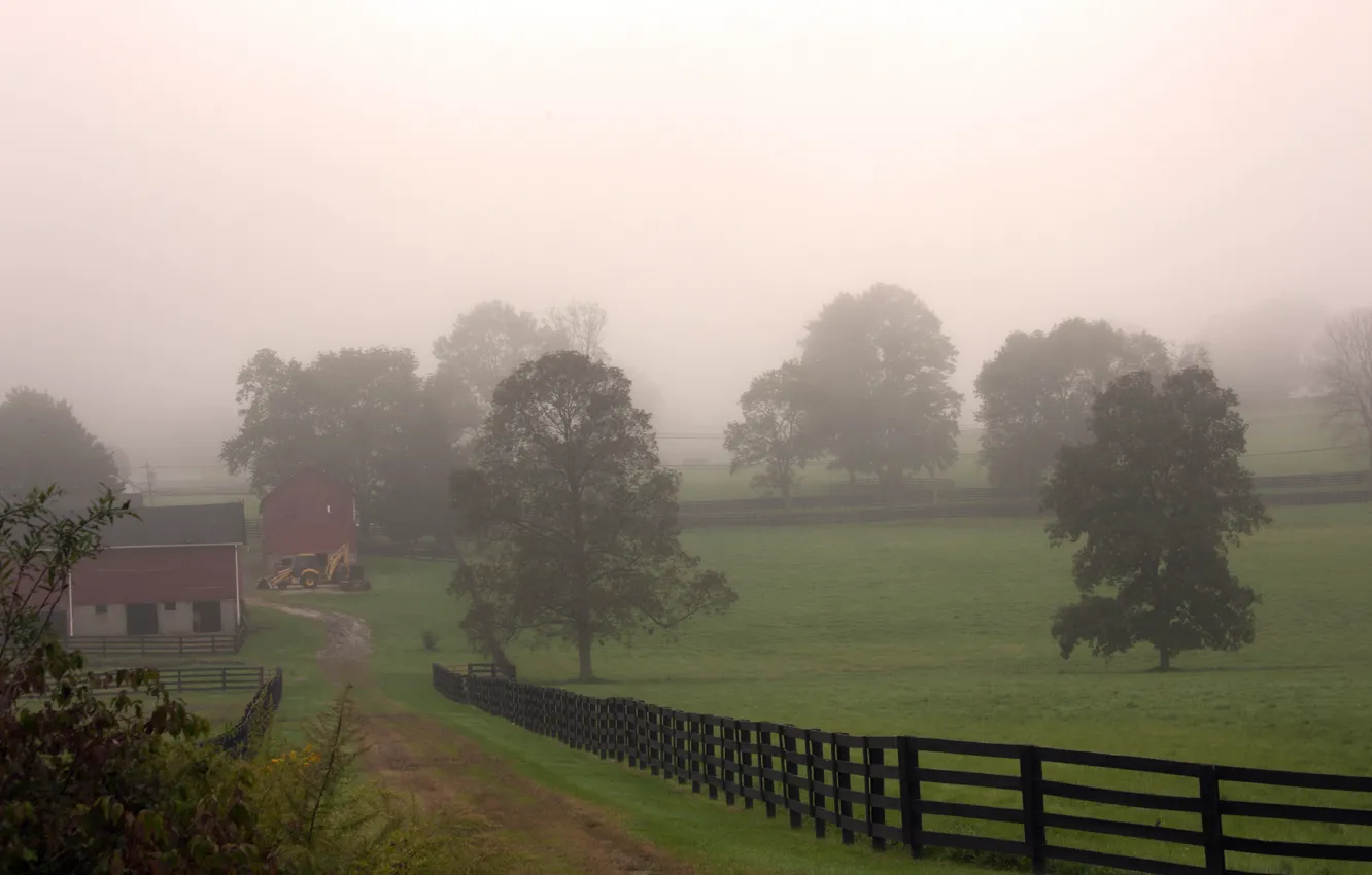Photo wallpaper field, autumn, trees, fog, village, morning, track, trees