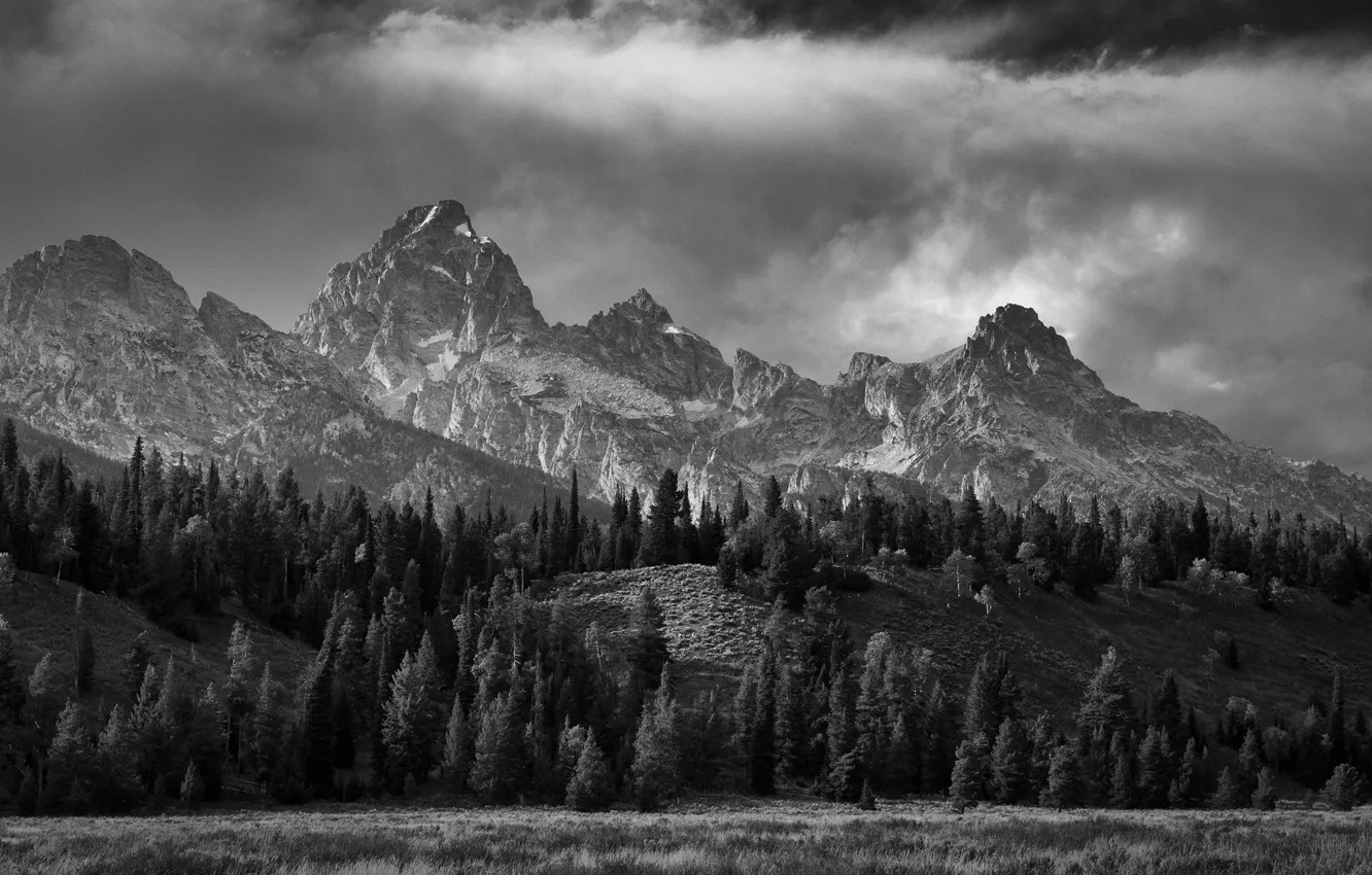 Photo wallpaper the sky, trees, mountains, nature, rocks, black and white, USA, monochrome
