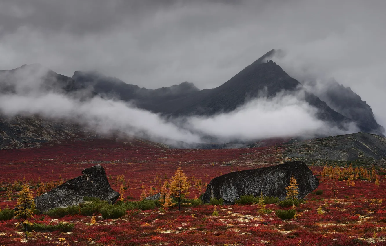 Photo wallpaper autumn, the sky, mountains, clouds, nature, fog, stones, rocks