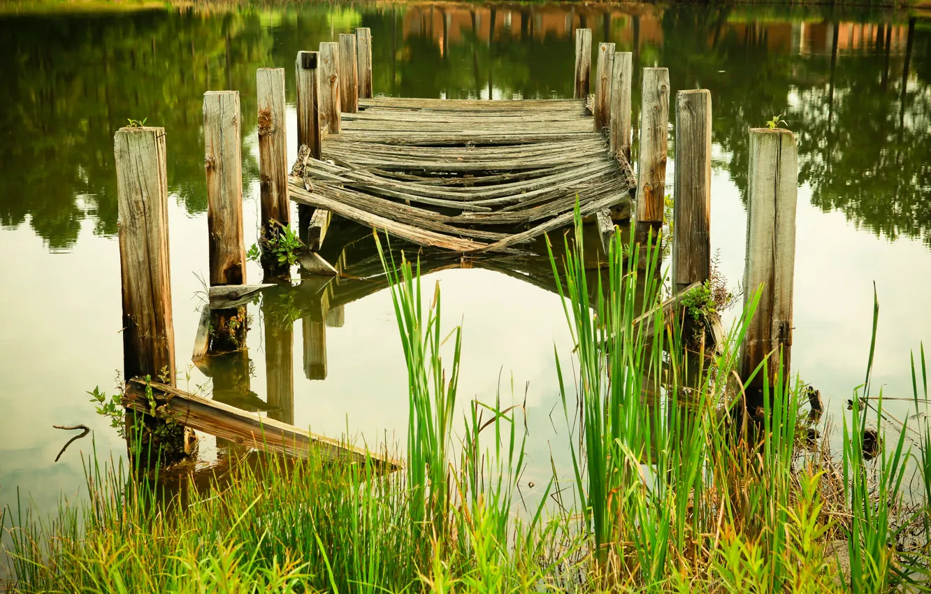 Photo wallpaper water, lake, pond, river, plant, the bridge