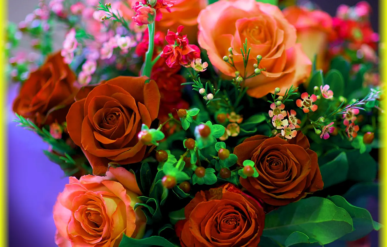 Photo wallpaper flowers, roses, bouquet, vignette