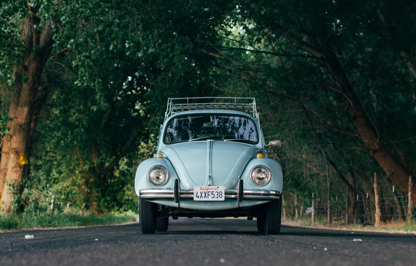 Photo wallpaper car, Volkswagen, road, trees, Beetle, Volkswagen Beetle