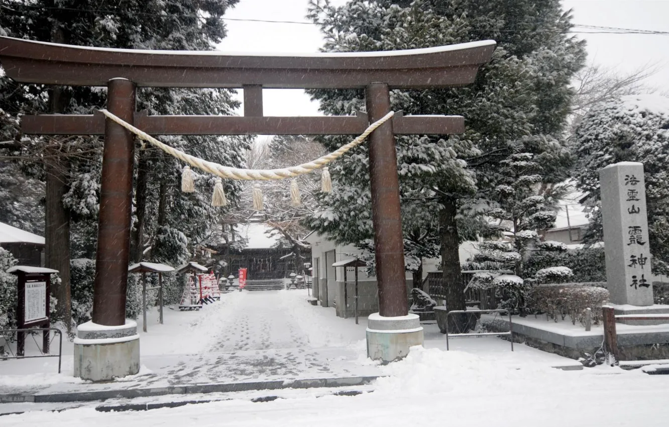 Photo wallpaper snow, Japan, the gates