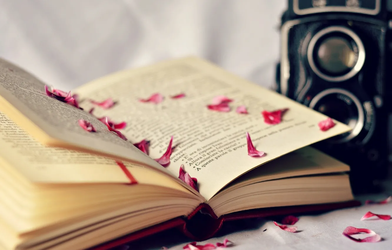 Photo wallpaper camera, petals, the camera, book, page