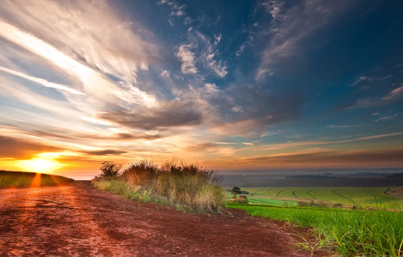 Photo wallpaper field, the sky, clouds, light