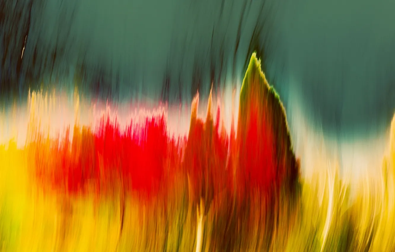 Photo wallpaper background, color, form