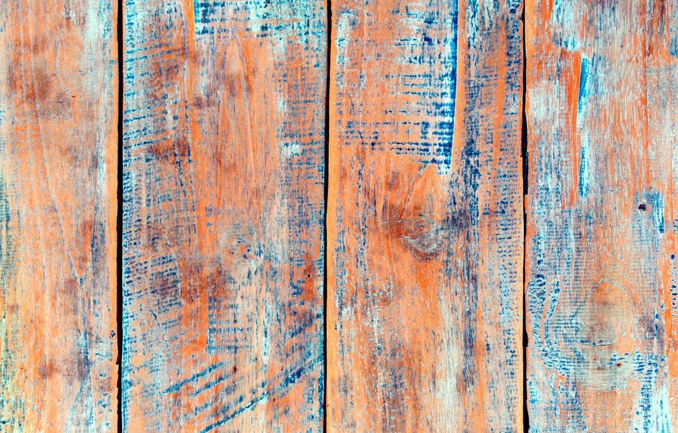 Photo wallpaper paint, color, wood, texture