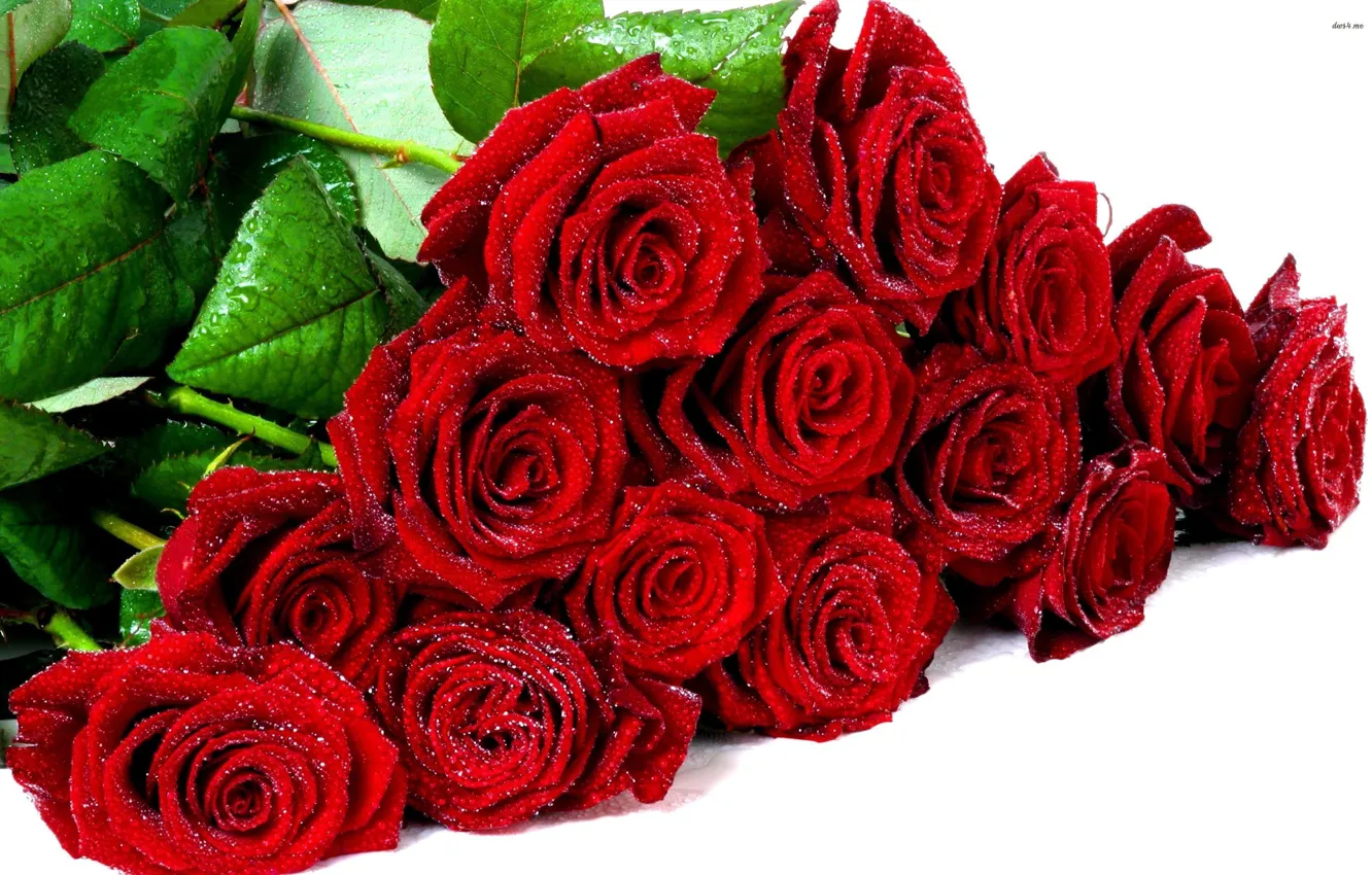 Photo wallpaper frost, bouquet, red roses
