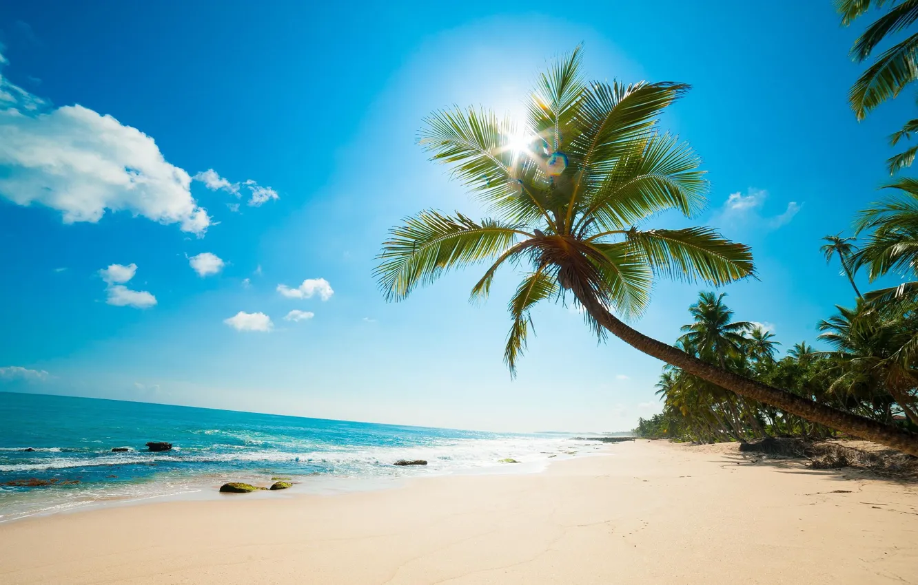 Photo wallpaper sand, sea, beach, the sun, palm trees