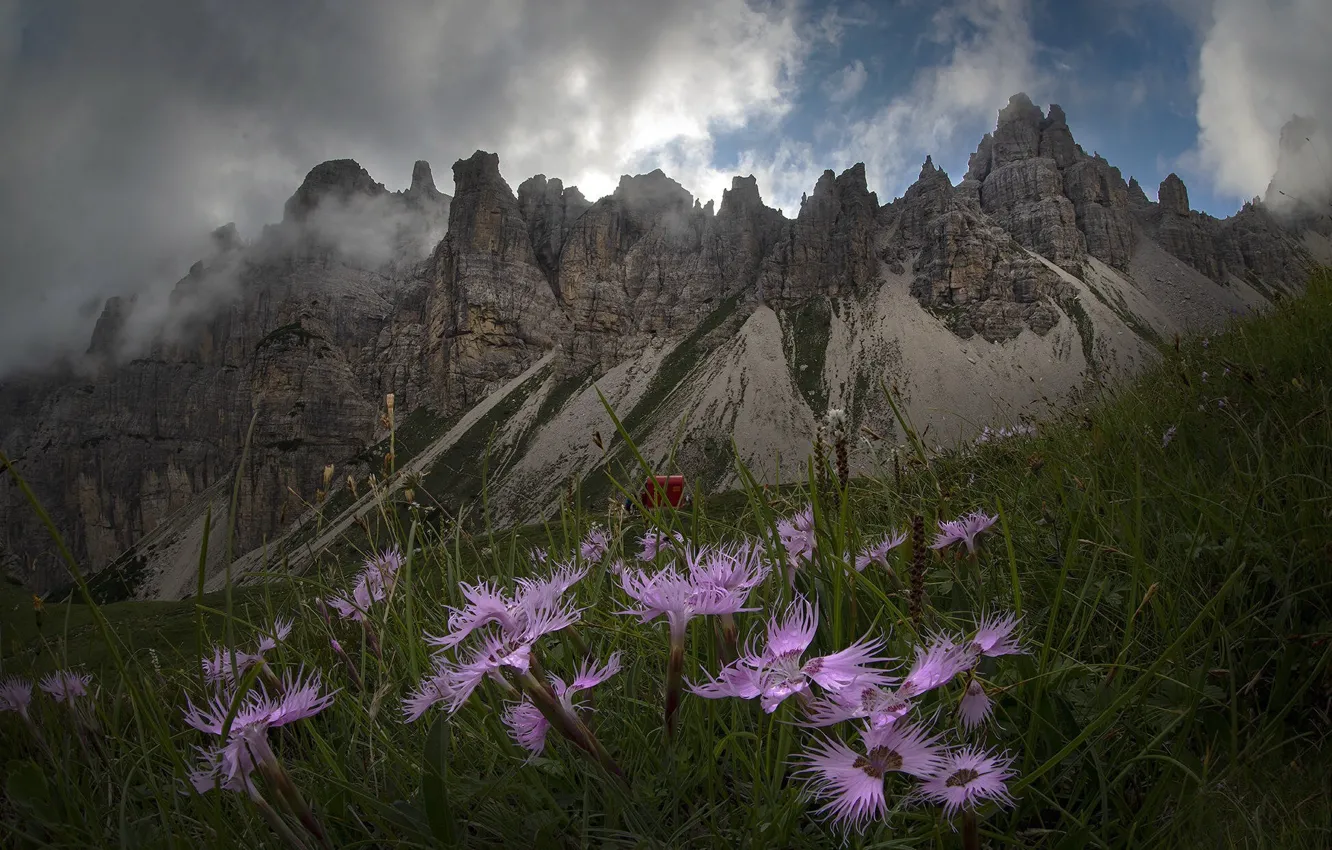 Photo wallpaper the sky, grass, clouds, landscape, flowers, mountains, nature, slope