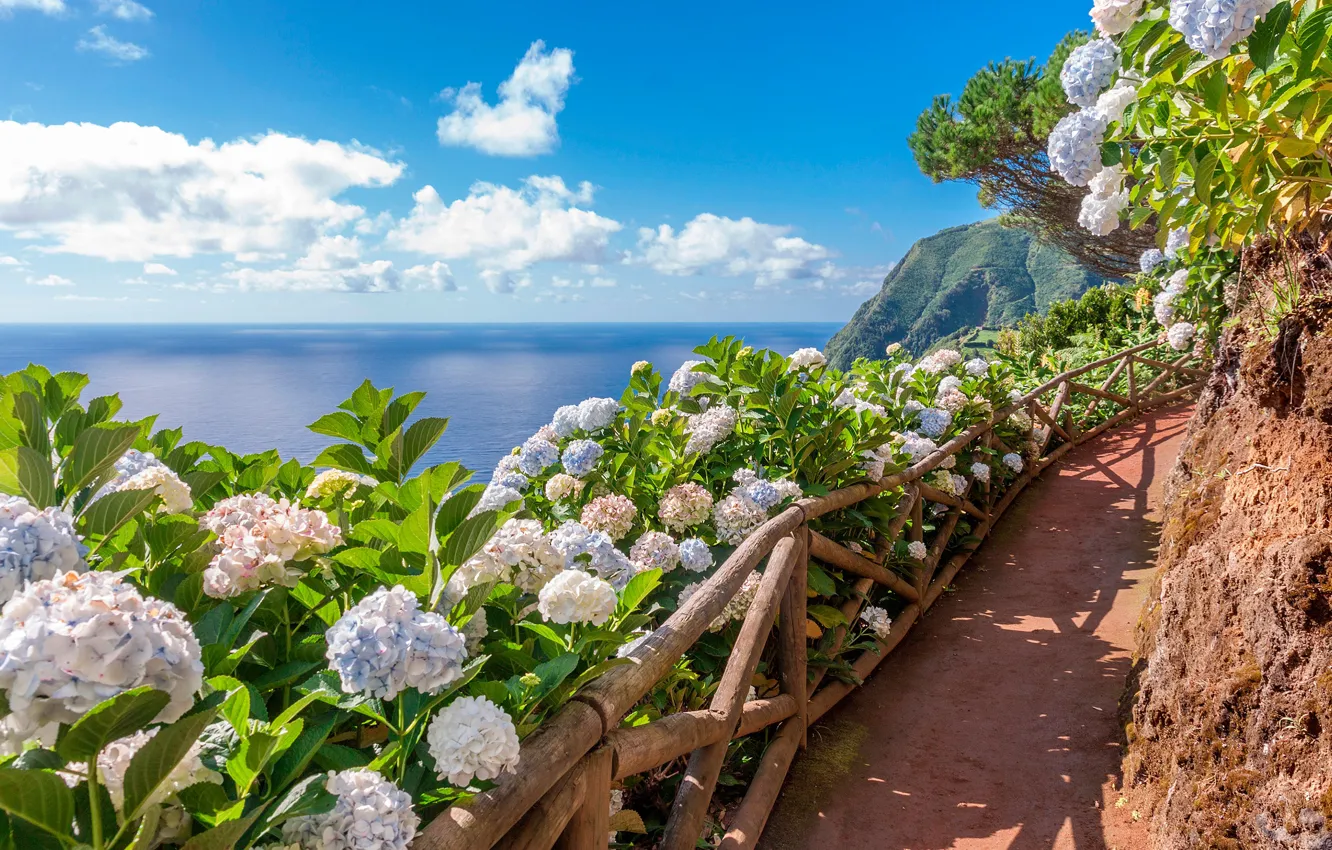 Photo wallpaper flowers, mountains, the ocean, track, Azores, Sao-Miguel, Acores