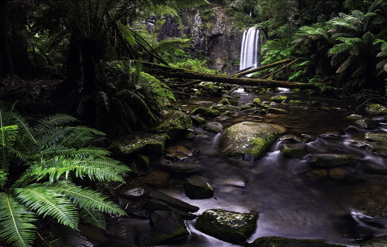 Photo wallpaper stones, waterfall, fern