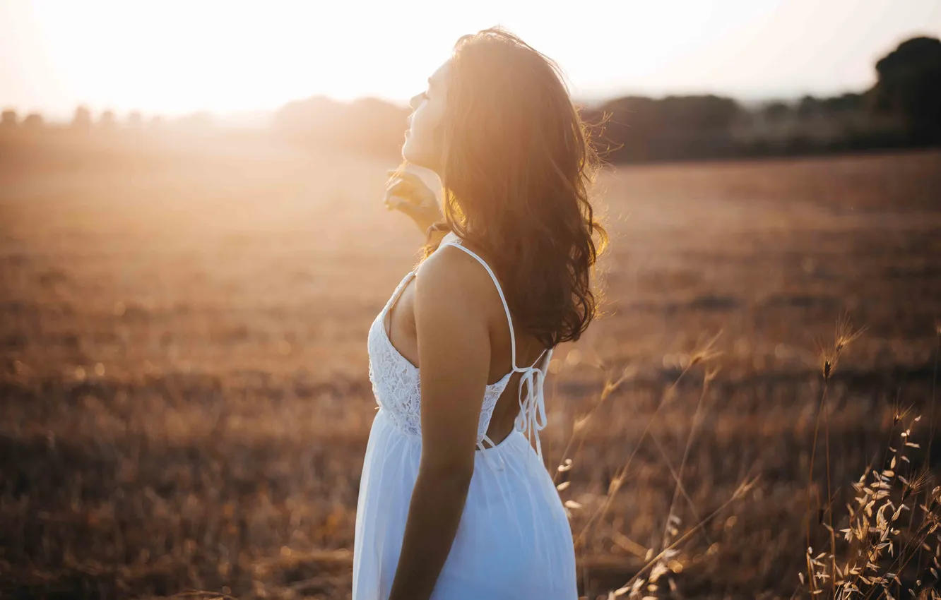 Photo wallpaper field, girl, sunset, dress