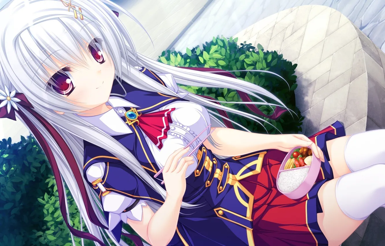 Photo wallpaper girl, food, lunch, game cg, mikagami mamizu, justy x nasty, Bento, onose mana