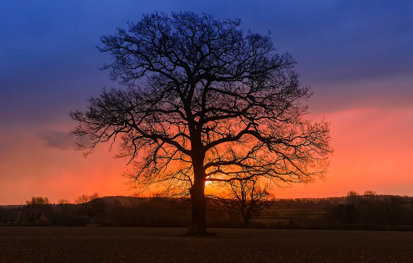 Photo wallpaper the sky, trees, sunset, hills, home, silhouette, glow