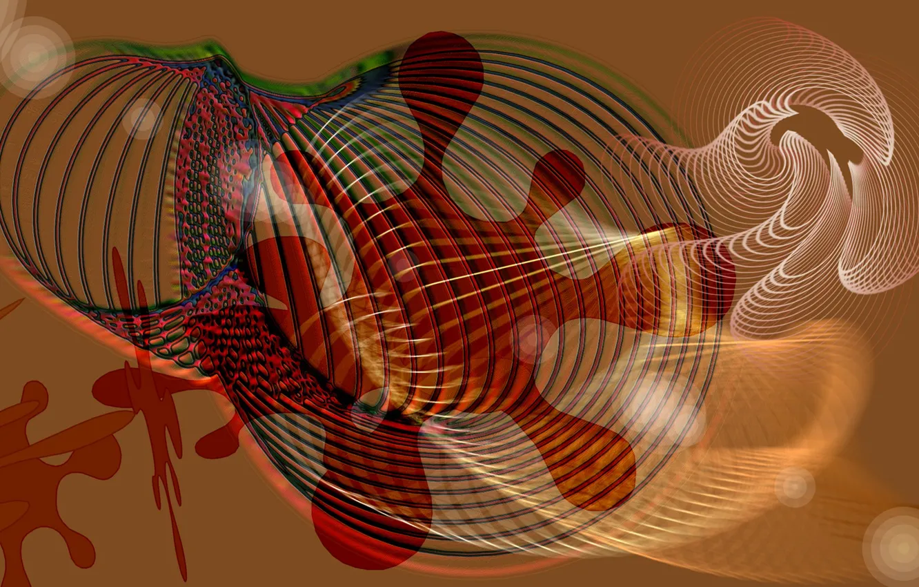 Photo wallpaper color, texture, form