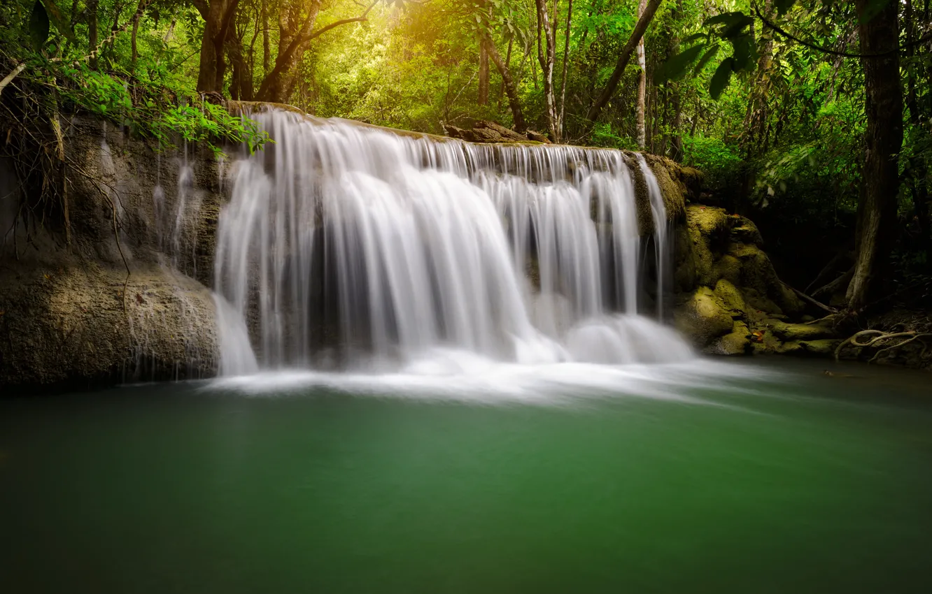 Photo wallpaper forest, trees, river, waterfall