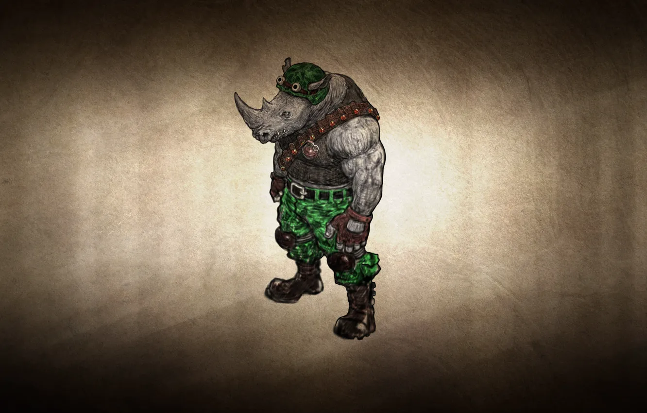 Photo wallpaper clothing, Rhino, TMNT, Teenage Mutant Ninja Turtles, Rocksteady, garnet, dark background