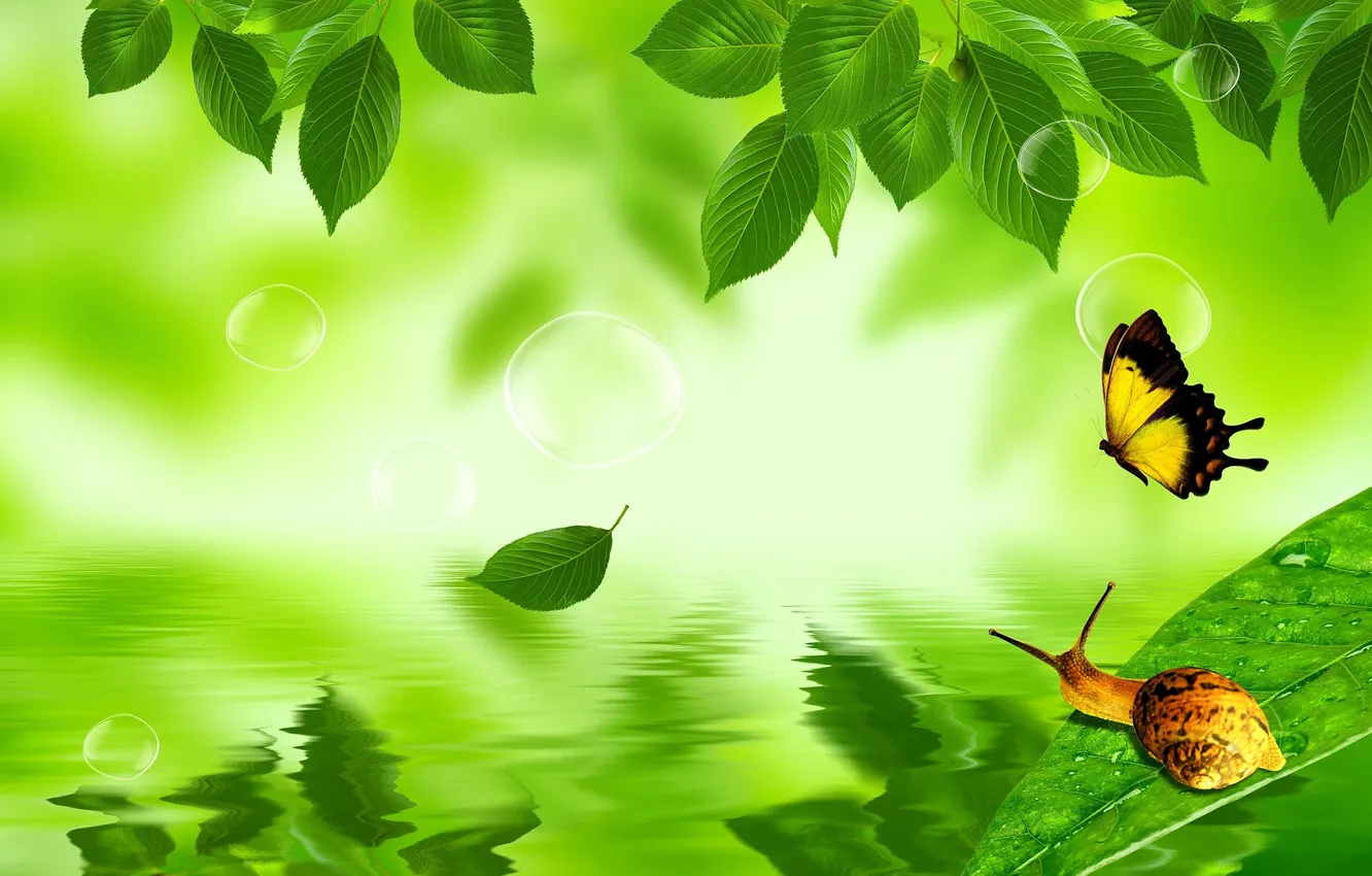 Photo wallpaper butterfly, ladybug, snail, green background