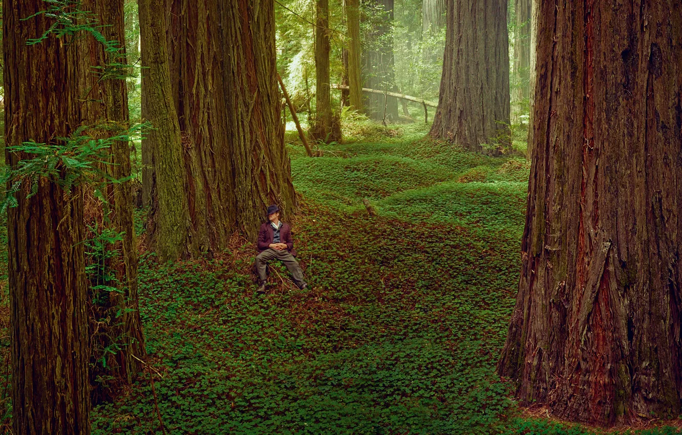 Photo wallpaper Brad Pitt, photoshoot, Details, August 2014