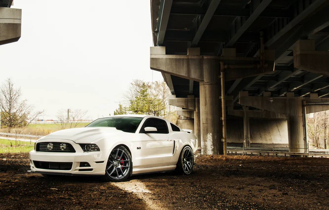 Photo wallpaper Mustang, Ford, Ford, Muscle, Mustang, Car, 5.0