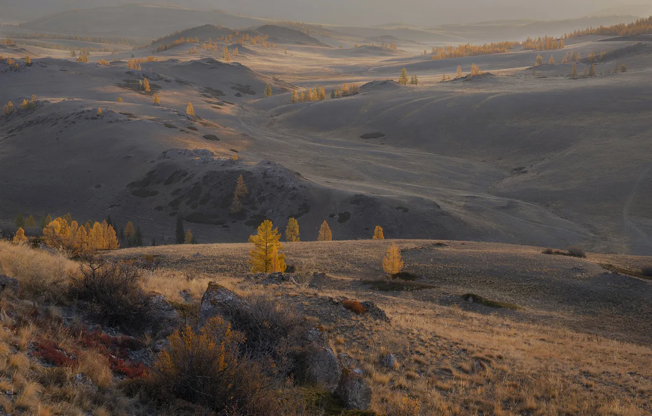 Photo wallpaper autumn, trees, nature, beauty, horizon, fantastic landscape, Galina Deinekina