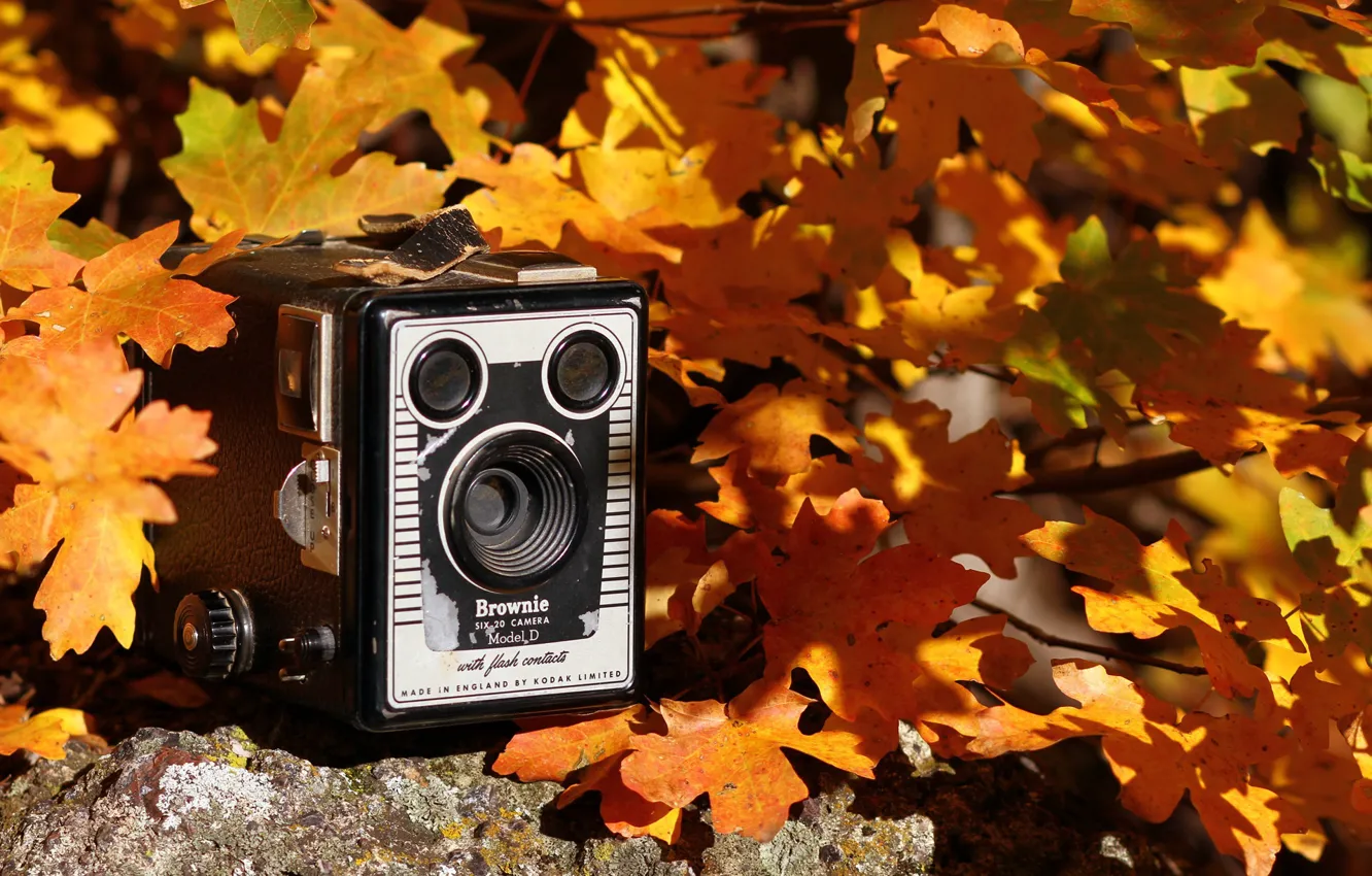 Photo wallpaper autumn, background, camera