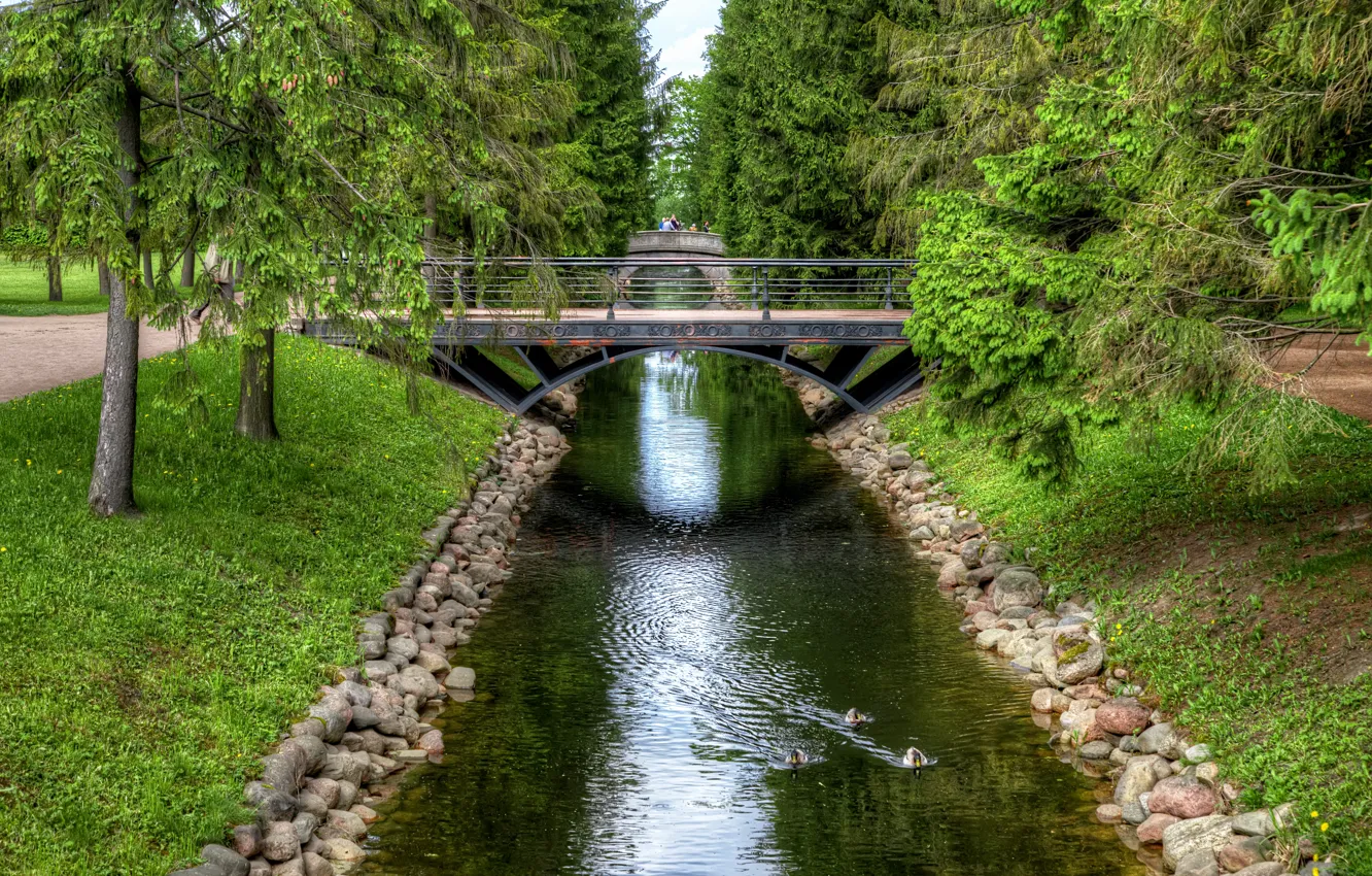 Photo wallpaper bridge, pond, Park, tree, HDR, Saint Petersburg, park, bridges