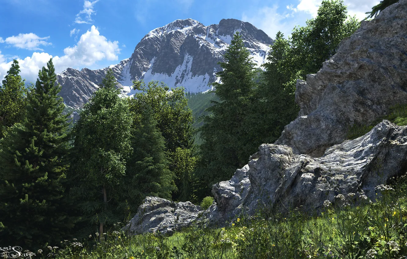 Photo wallpaper forest, mountains, stones, vegetation, steep fir slope
