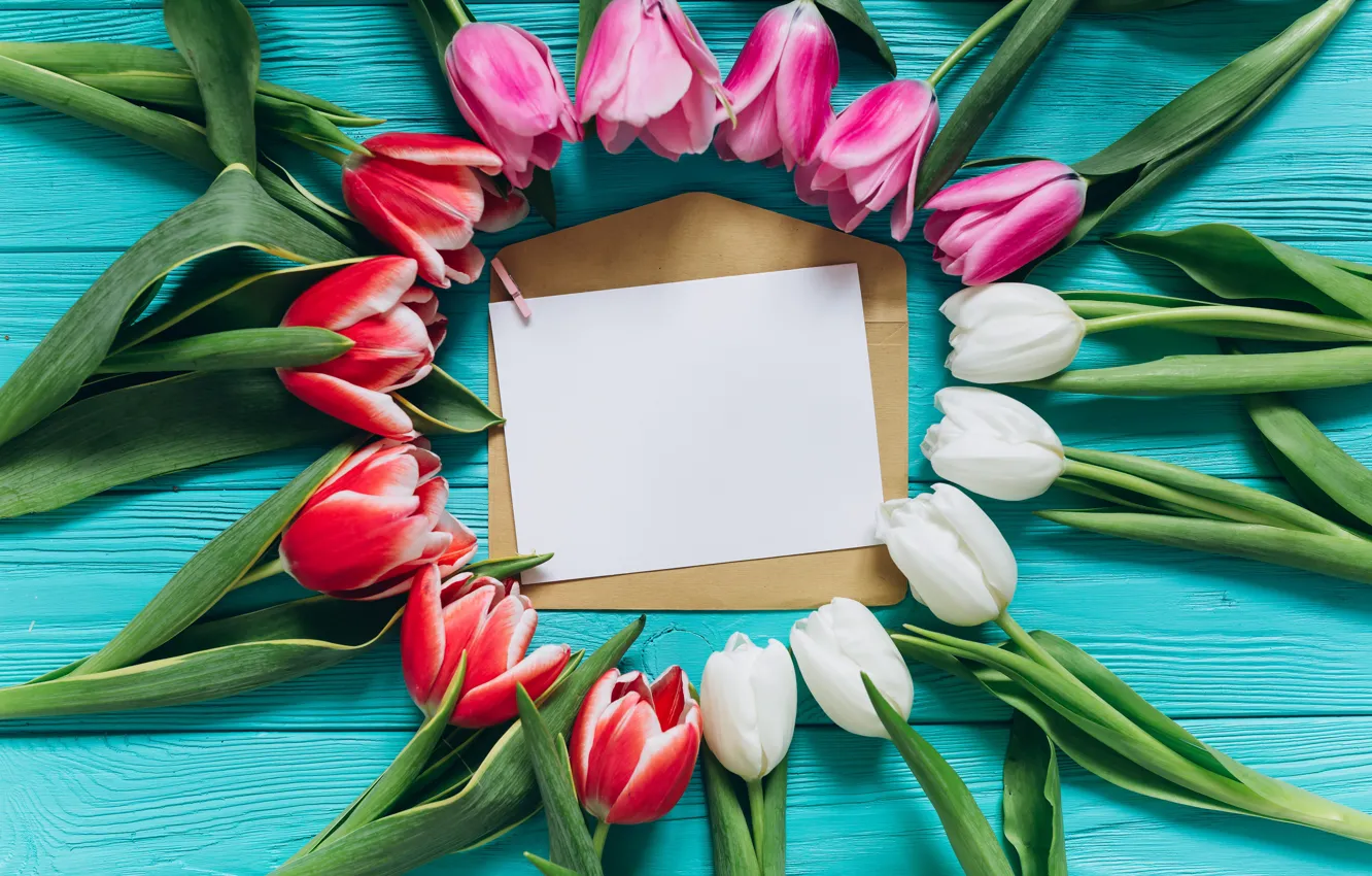 Photo wallpaper flowers, colorful, tulips, pink, white, white, fresh, wood