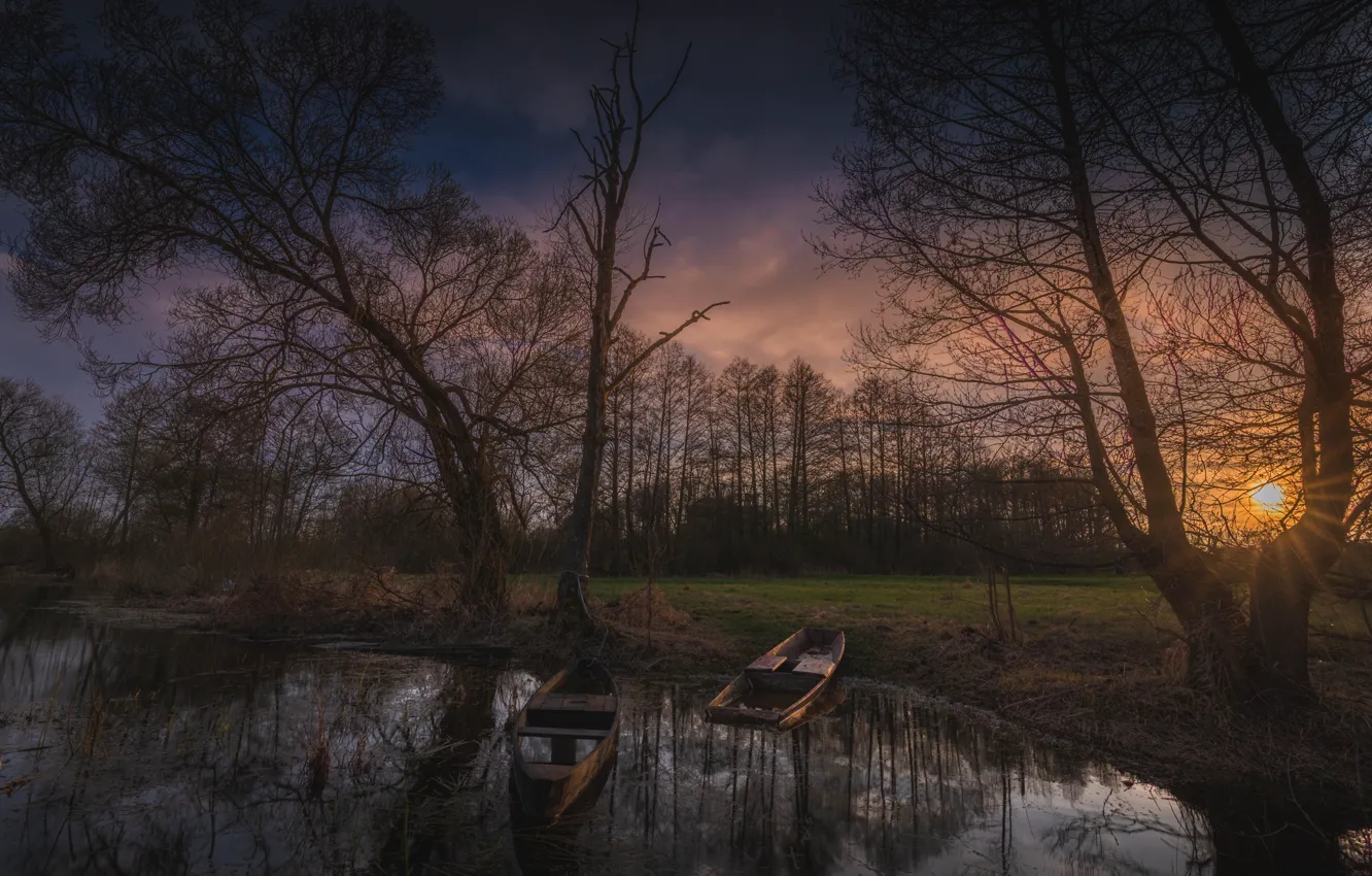 Photo wallpaper trees, shore, boat